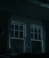 2461.jpg