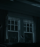 2497.jpg