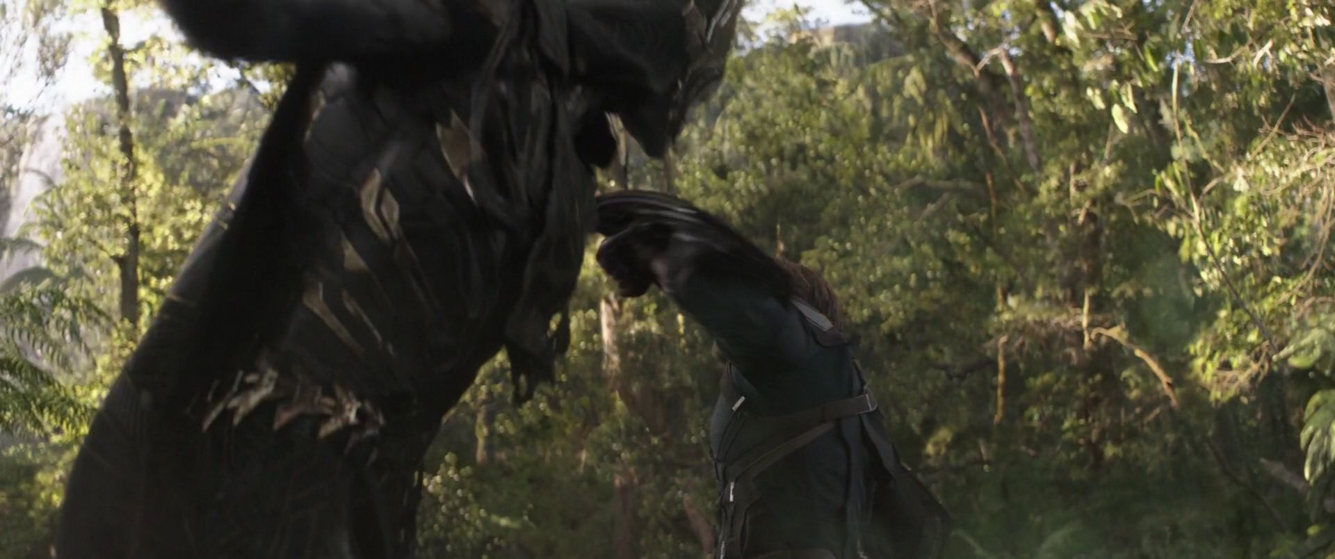 AvengersInfinityWar_223.jpg