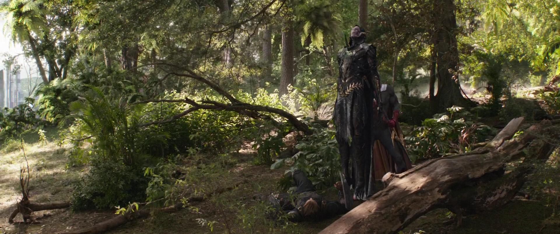 AvengersInfinityWar_233.jpg