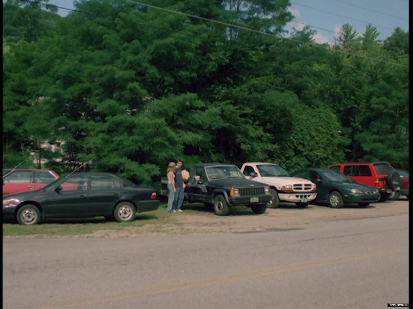 353.jpg