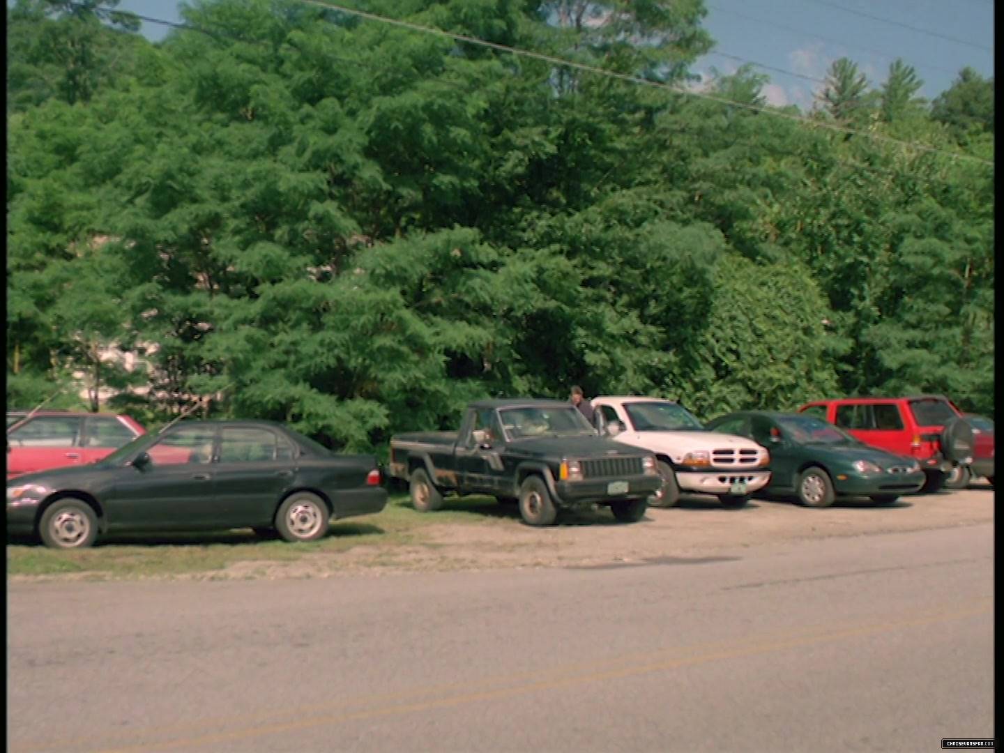 401.jpg