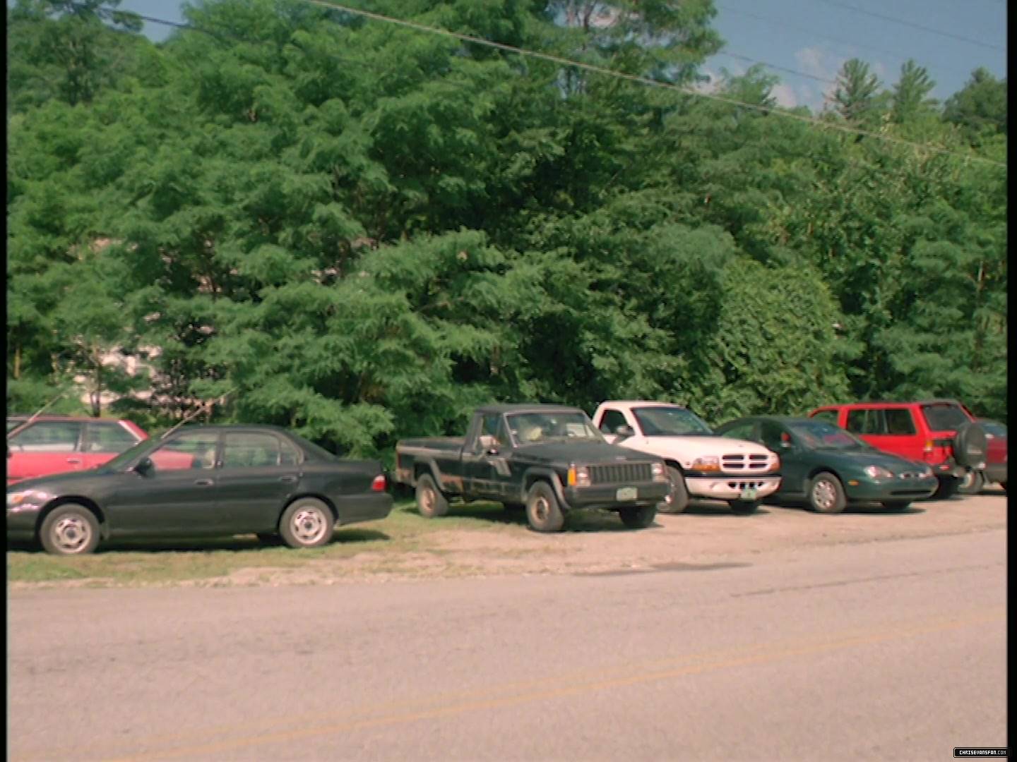 407.jpg