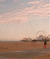 1145.jpg