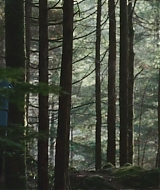 Filename=1742.jpg
Filesize=513KiB
Dimensions=1920x800
Date added=Aug 27, 2025 1742.jpg