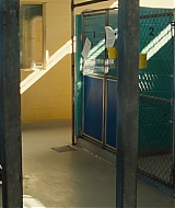 2595.jpg